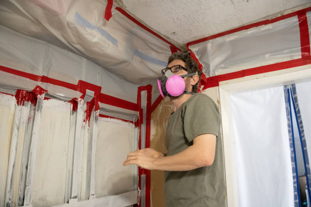 Best HVAC Mold Inspection and Cleaning  in Binghamton University, NY