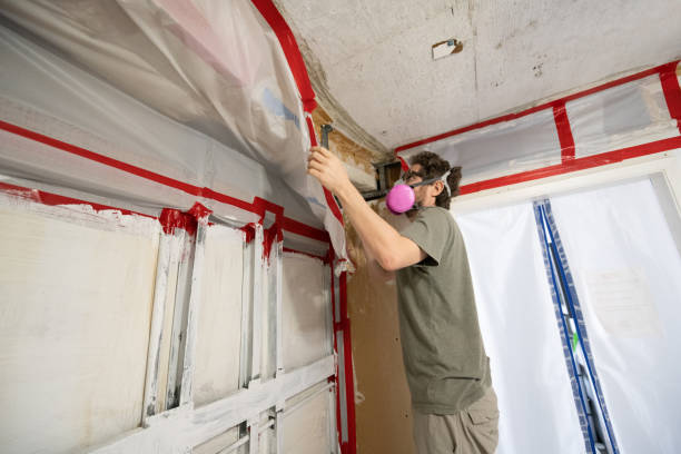 Environmental Consulting for Mold Prevention in Binghamton University, NY