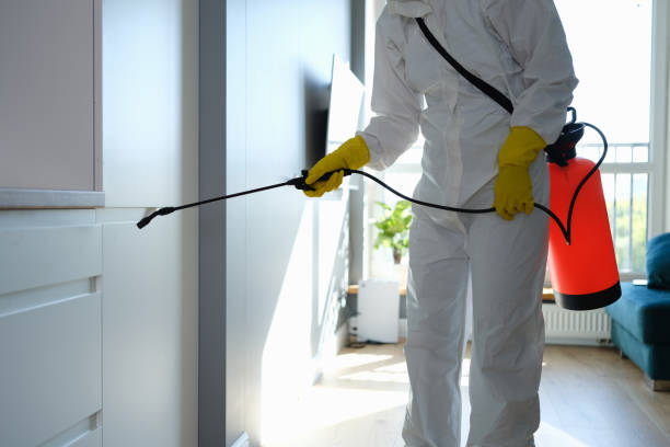 Mold Remediation for Vacation Homes in Binghamton University, NY