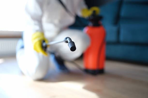Biohazard Mold Removal in Binghamton University, NY